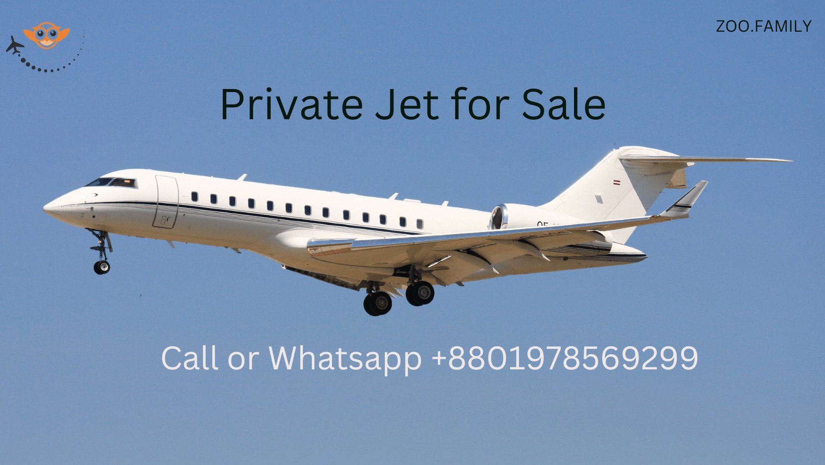 Private Jet for Sale